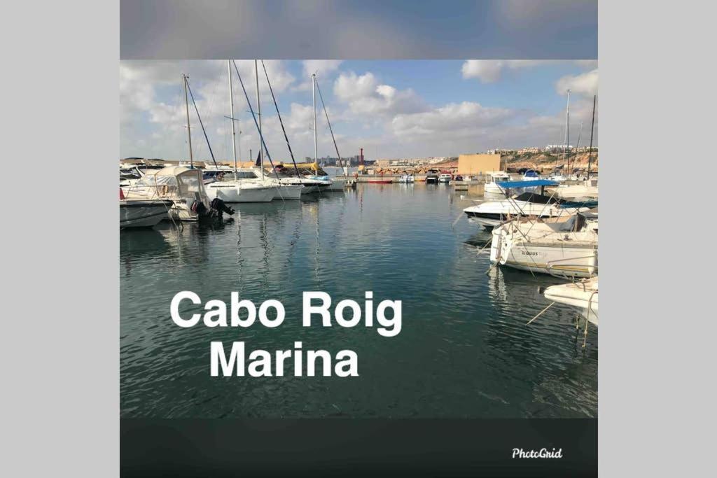 Lovely Apartment In Cabo Roig Near Beach Οριουέλα Εξωτερικό φωτογραφία